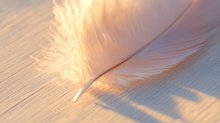 Poster - close-up of delicate feather lying on smooth wooden surface bathed in soft natural light