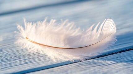 Poster - close-up of delicate feather lying on smooth wooden surface bathed in soft natural light