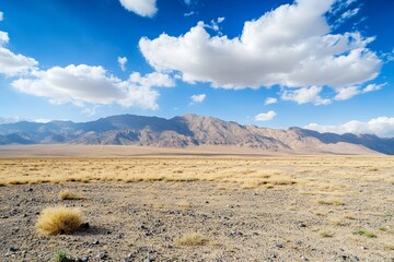 Wall Mural - desert landscape, mountains, blue sky, clouds, travel