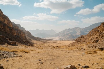 Wall Mural - desert canyon landscape, wadi rum, jordan; sunny day, travel background