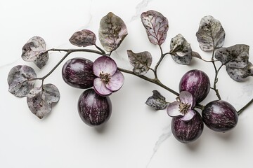 Poster - Purple Eggplant Still Life on Marble Surface with Delicate Flowers and Artistic Arrangement