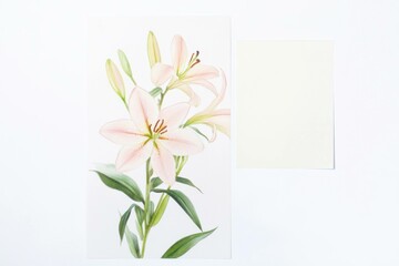 Canvas Print - Delicate pink lilies captured in a soft and elegant watercolor style, showcasing their beauty and grace against a white background