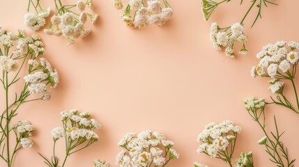 Poster - Delicate white flowers arranged in a circular pattern on a soft peach background, ideal for design