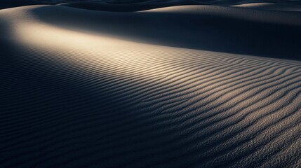 Wall Mural - Soft Light Over Sand Dunes Revealing Gentle Textures and Patterns