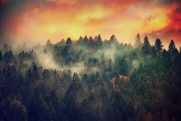 Wall Mural - misty mountain landscape