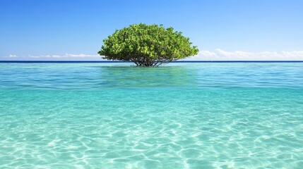 Canvas Print - Tranquil Ocean Scene Lone Tree in Crystal Clear Water