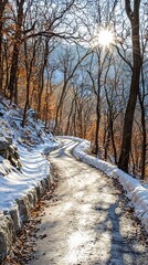 Canvas Print - Winding snowy path, winter sun, forest background, nature scene