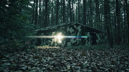 Poster - Exploration of a secluded camouflaged shelter in a dense forest during twilight hours