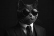 © julija - sophisticated feline in tailored charcoal suit, retro aviator sunglasses, silk tie, aristocratic pose, studio lighting, fashion photography style