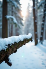Wall Mural - snowy forest branch stretched forward horizontally, chipped bark exposed, forest, winter tree, snow