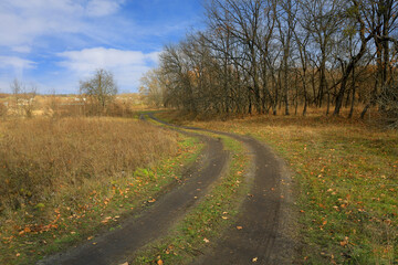 Wall Mural - rural road in autumn forest