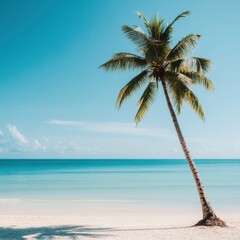 Poster - Tropical beach with coconut palm tree and turquoise water in a serene atmosphere perfect for relaxation and escape. Generative AI