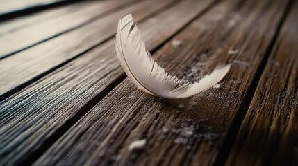 Poster - delicate feather landing on wooden surface nature calm environment close-up view