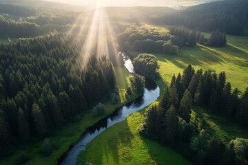 Aufkleber - Golden hour sunlight streams through trees, highlighting a winding river nestled in a lush forest, creating a serene atmosphere in the peaceful countryside