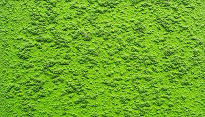 Poster - A vibrant green textured wall perfect for backgrounds and creative projects.