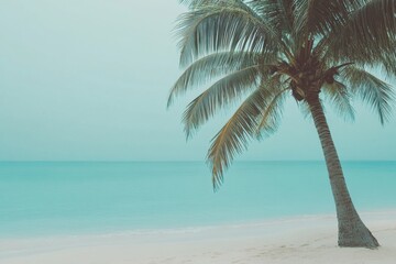 Aufkleber - Tropical beach view with coconut palm tree and turquoise water perfect for relaxation and summer vibes. Generative AI