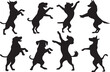© Md Mujahid Fakir - Vector illustration set of dog dancing silhouette, dogs dancer flat black color design on a white background.