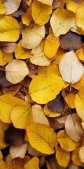 Aufkleber - Autumn Golden Yellow and Brown Leaves Texture Background for Seasonal Designs : Generative AI