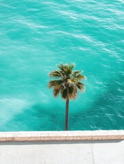 Poster - Tropical beach with coconut palm tree and beautiful turquoise water under a bright sun. Generative AI