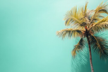 Poster - Tropical beach paradise featuring a coconut palm and clear turquoise water in a serene minimalist setting. Generative AI