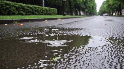 Poster - Raindrops fall into a puddle on a rainy day, creating expanding concentric ripples in slow motion, with trees and a street in the background