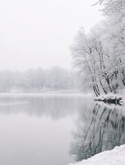 Poster - Serene Winter Landscape Reflection By a Still Lake Enveloped in Snow Laden Tranquil Trees : Generative AI