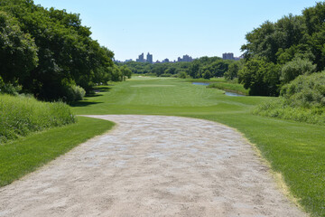 Wall Mural - A path in a park with a city in the background