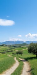 Wall Mural - A road winds through a lush green field with a clear blue sky above. The road is surrounded by trees and the landscape is peaceful and serene