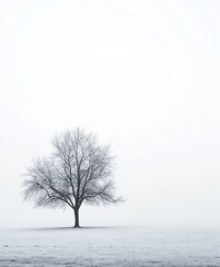 Poster - Lone Bare Tree in Foggy Winter Landscape Symbolizing Solitude and Tranquility in Nature : Generative AI