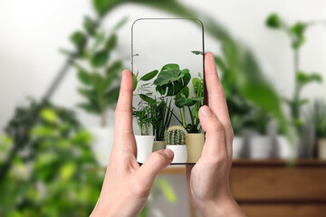 Man taking photo of plant to recognize it using identifier application on mobile phone indoors, closeup