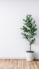 Poster - Minimalist interior with green plant against white wall and wooden floor for home decor concept