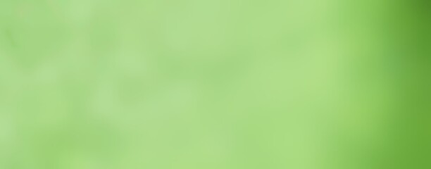 Wall Mural - green abstract background - spring and nature banner