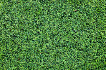 Canvas Print - top view artificial Grass background