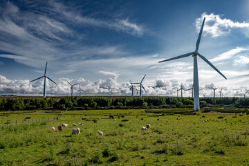 rural farmland landscape with sheep and rotating wind turbines for renewable energy production in sc