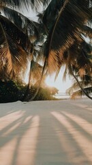 Leinwandbilder - Soft golden sunlight filtering through swaying palm trees, projecting elongated shadows across immaculate white sand, evoking peaceful tropical tranquility near pristine shoreline