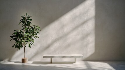 Wall Mural - Minimalist interior plant, bench, sunlight (1)