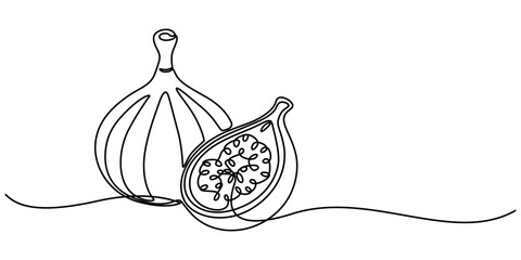 Poster - Single one line drawing whole healthy organic figs for orchard logo identity. Fresh exotic summer fruitage concept on white background. Modern continuous line draw design graphic vector illustration.