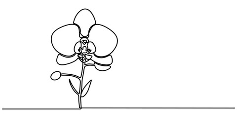 Poster - Phalaenopsis Orchid Flowers Continuous Line Drawing with Editable Stroke, Beautiful orchids line art pattern. Exotic flowers drawing on simple background, Collection of orchid flowers in vector.  pro.