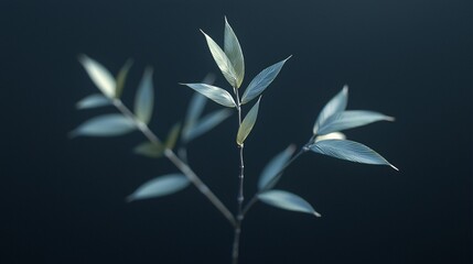 Poster - Serene bamboo leaves against dark backdrop; nature tranquility