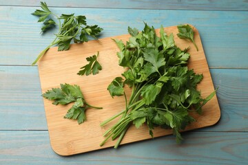 Wall Mural - Fresh parsley on light blue wooden table, flat lay