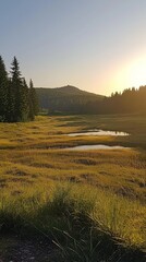 Poster - Golden sunlight bathes a peaceful meadow, illuminating lush grass and a serene pond. Towering trees frame the scene, creating a harmonious nature retreat at dusk