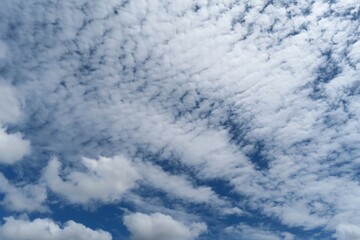 Wall Mural - beautiful cloudscape in blue sky, natural background