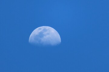 Wall Mural - full moon in blue sky, natural background
