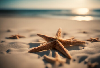 Wall Mural - starfish summer beach sand sky background ocean star surf nature landscape sea desert hawaii sun scene india relax horizon field concept old island retro vintage tour tourism grunge white water