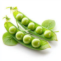 Sticker - Two open pea pods display rows of round, bright green peas, accompanied by fresh green leaves, on a white background.