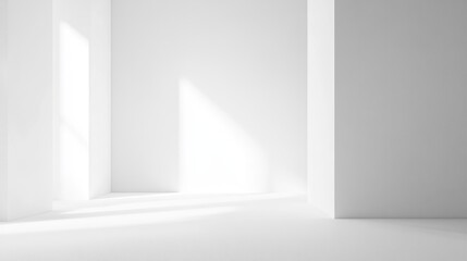 Sticker - Sunlight streams into minimalist white room; clean backdrop for product display