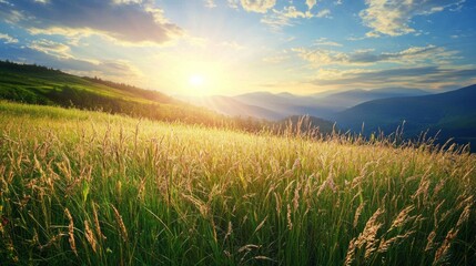 Poster - Morning light spills over rolling hills, illuminating a tranquil meadow filled with tall grasses that dance in the soft wind. Nature awakens with peaceful energy and vibrant colors