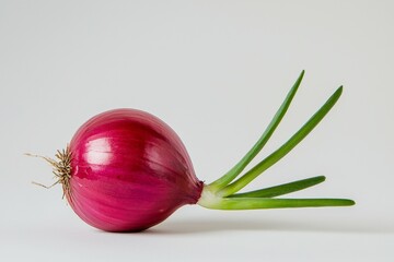 Wall Mural - Large red onion with green leaves on top