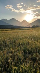 Poster - Sunlight spills over towering mountains as it sets behind peaks, illuminating a lush meadow filled with wildflowers. A perfect moment captures nature's beauty at dusk