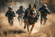 © Digital Sensei - K9 dog unit in training with the military wearing tactical gear
